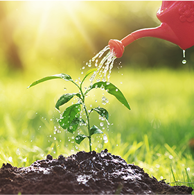 Почему нужно беречь воду